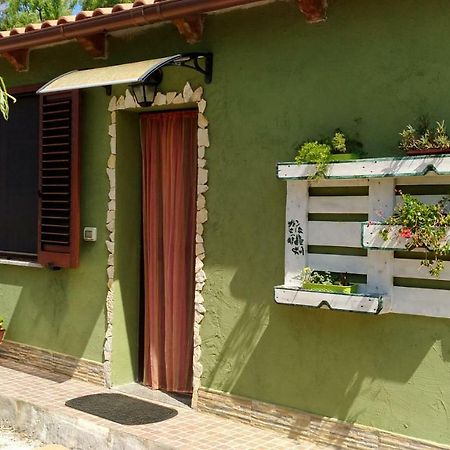 Appartamento Il Salice Casa Minnina Ngoại thất bức ảnh