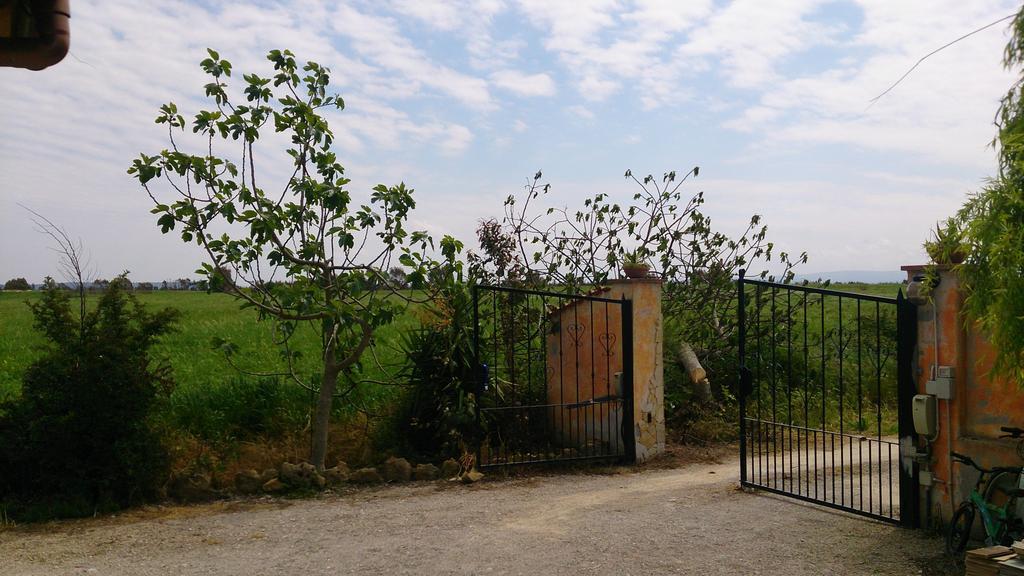 Appartamento Il Salice Casa Minnina Ngoại thất bức ảnh