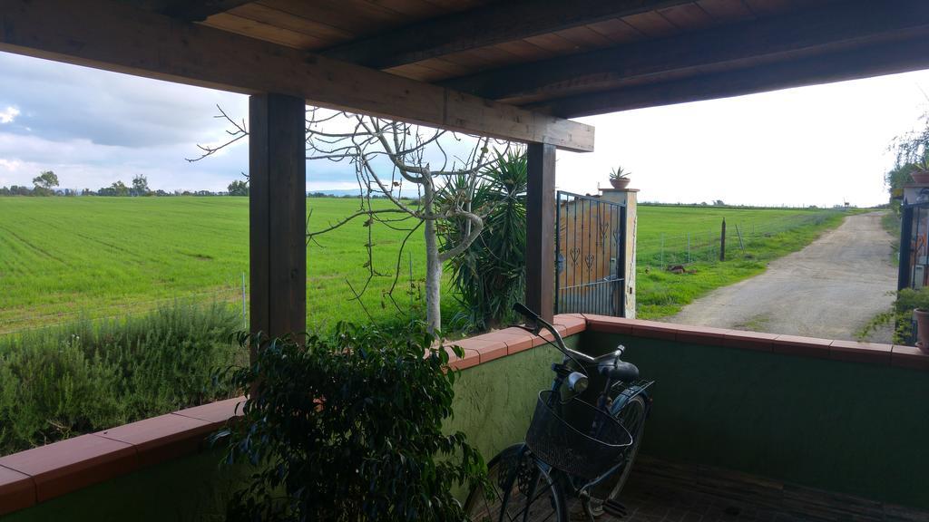 Appartamento Il Salice Casa Minnina Ngoại thất bức ảnh